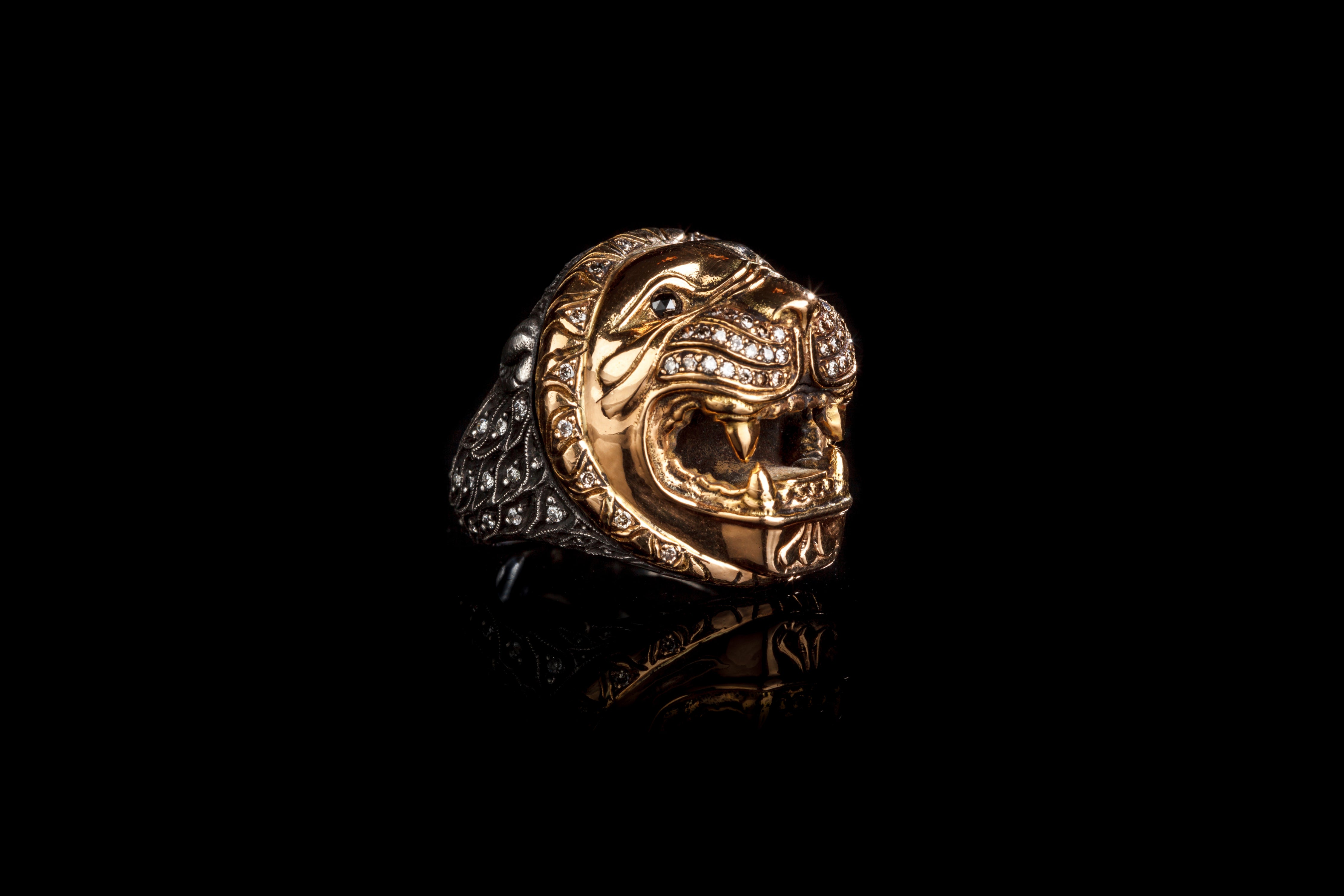 Slideshow Image 4